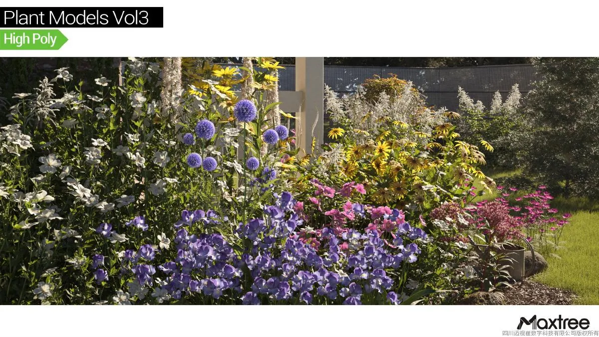 Maxtree Plant Models Vol.03