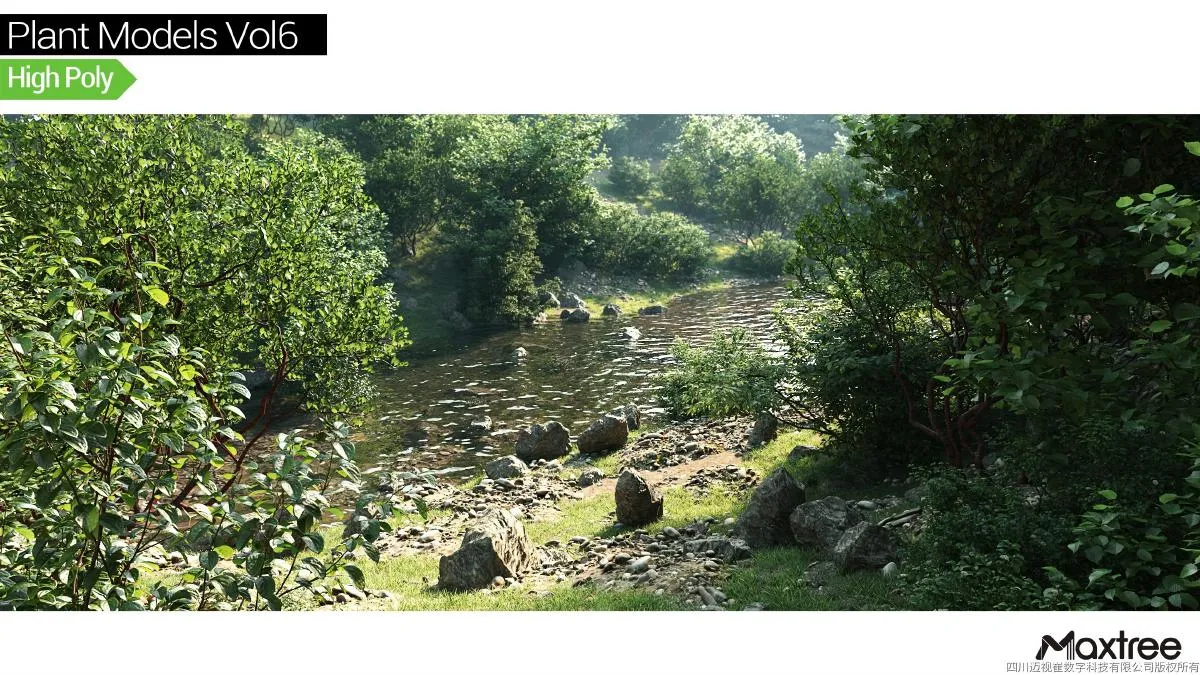 Maxtree Plant Models Vol.06