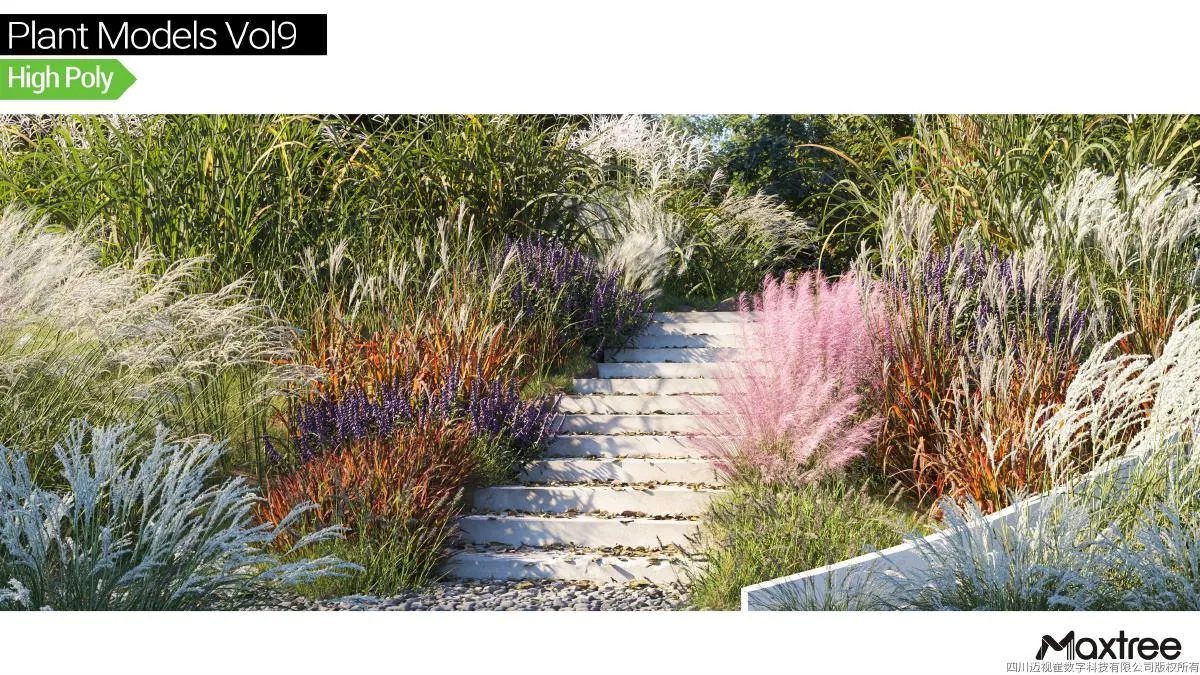 Maxtree Plant Models Vol.09