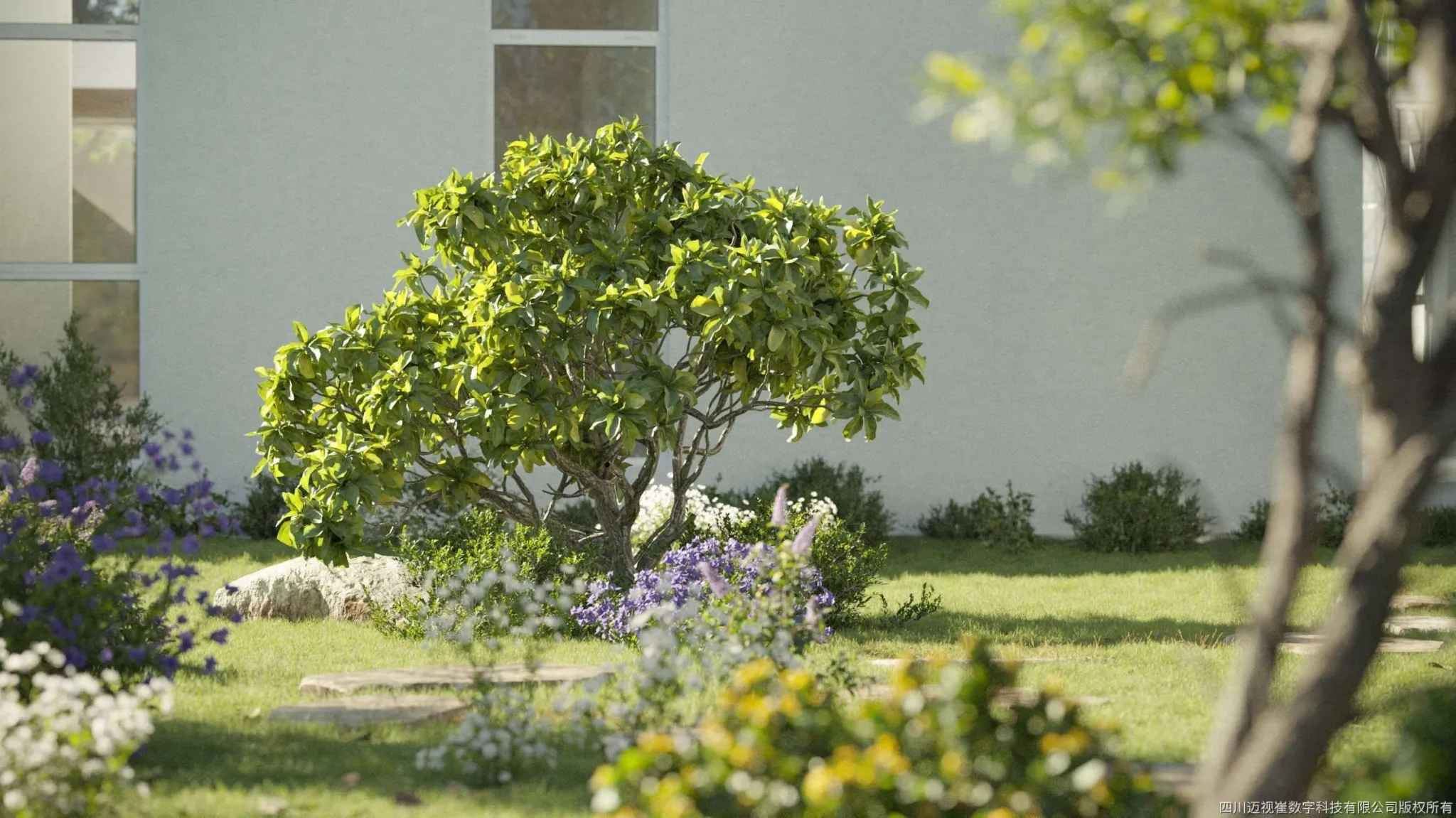 Maxtree - Plant Models Vol 112