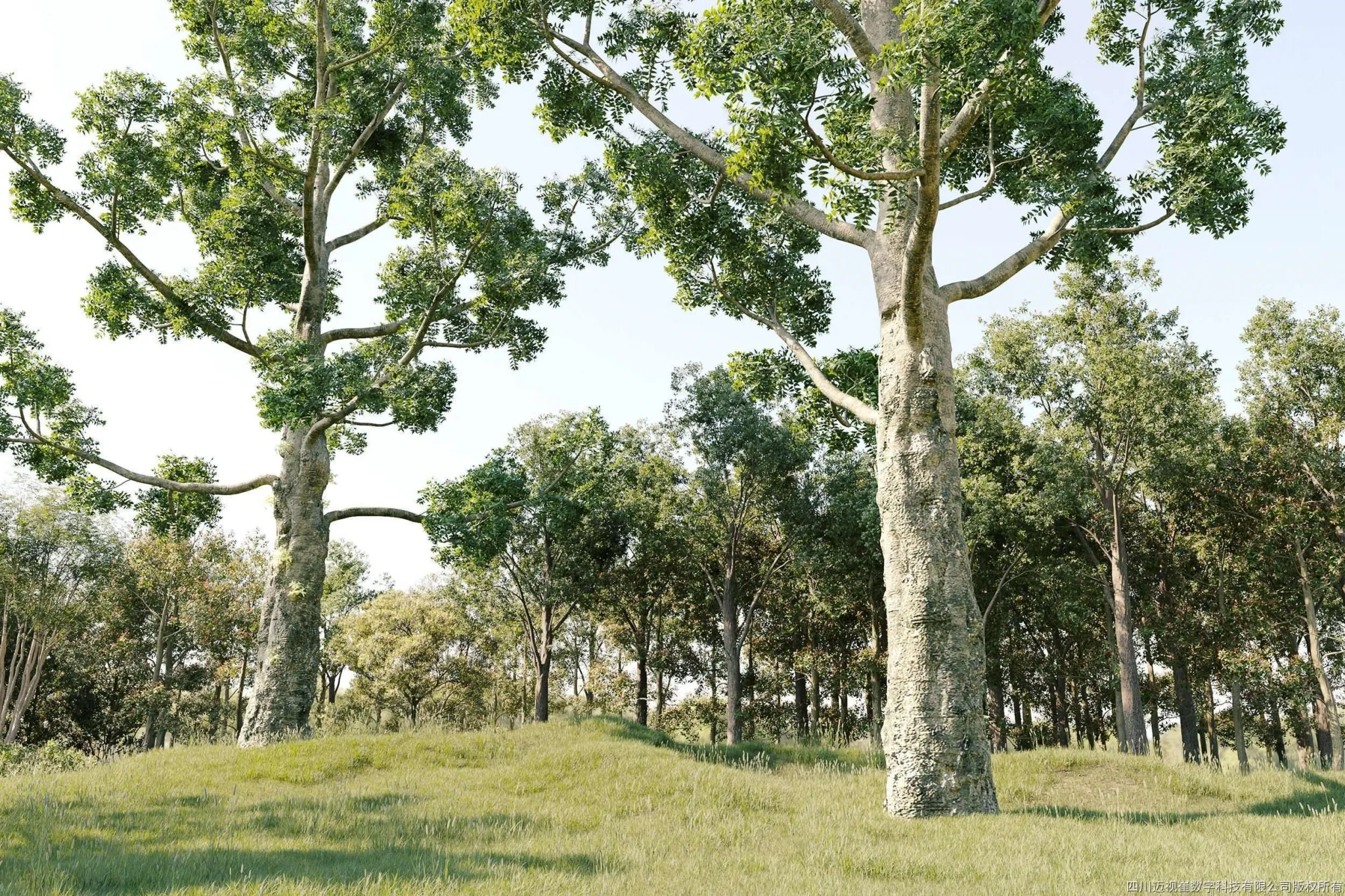 Maxtree - Plant Models Vol 121