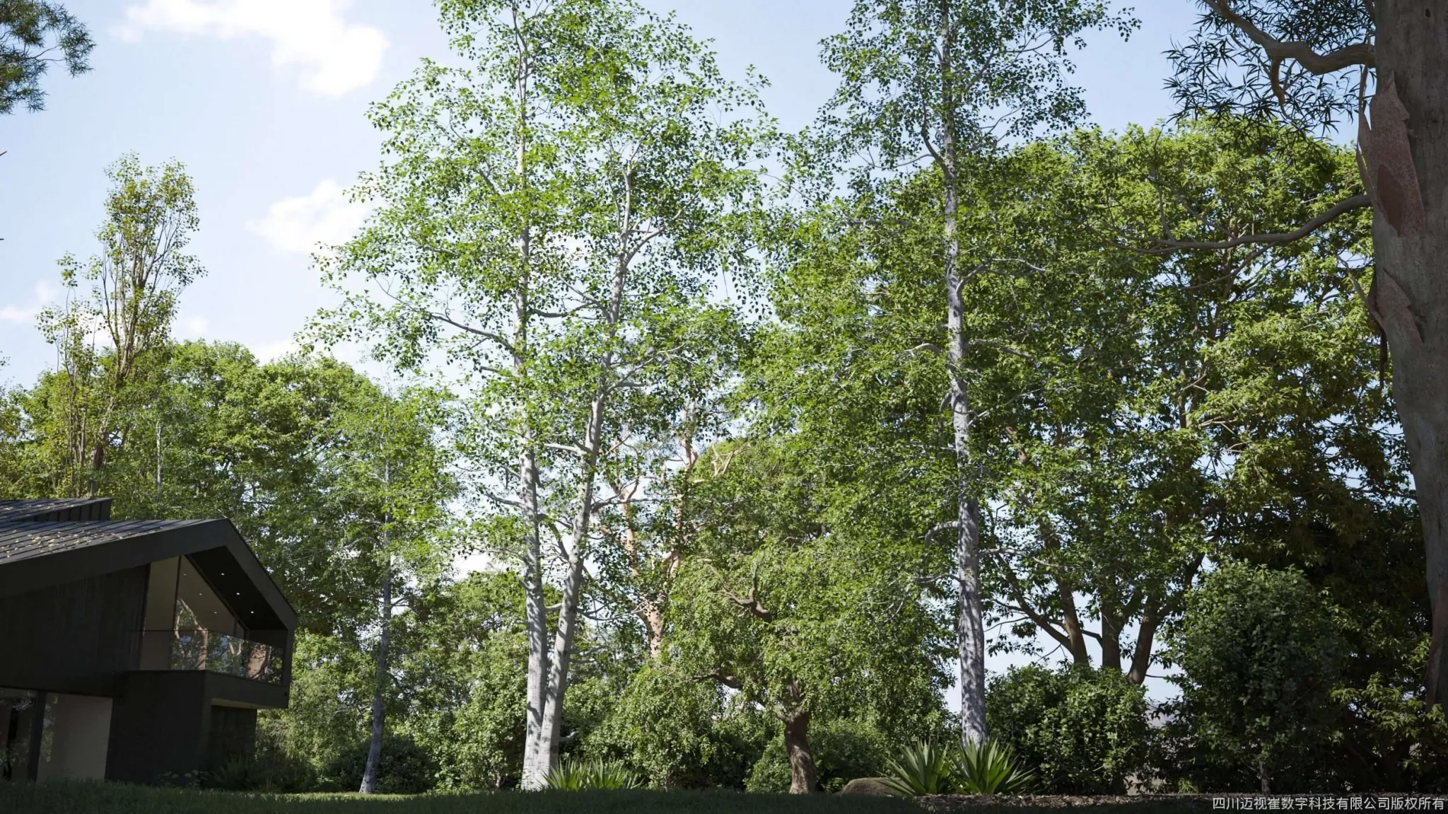 Maxtree - Plant Models Vol 124