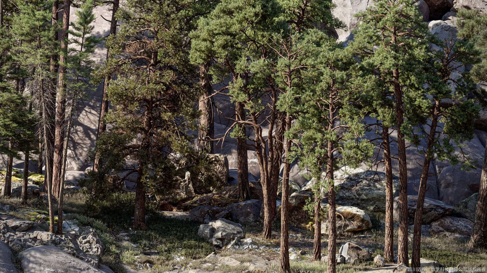 Maxtree - Plant Models Vol 126