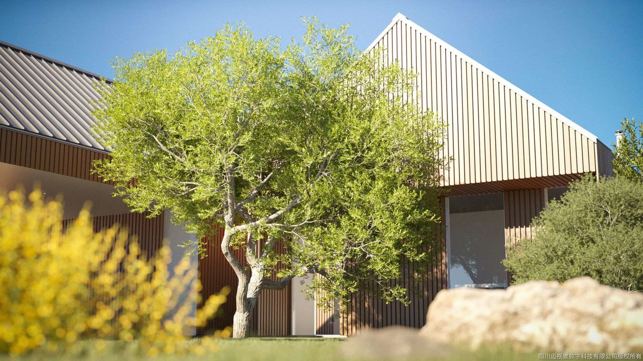 Maxtree - Plant Models Vol 127