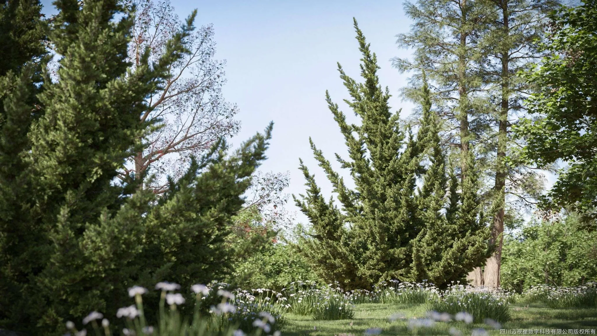 Maxtree - Plant Models Vol 132