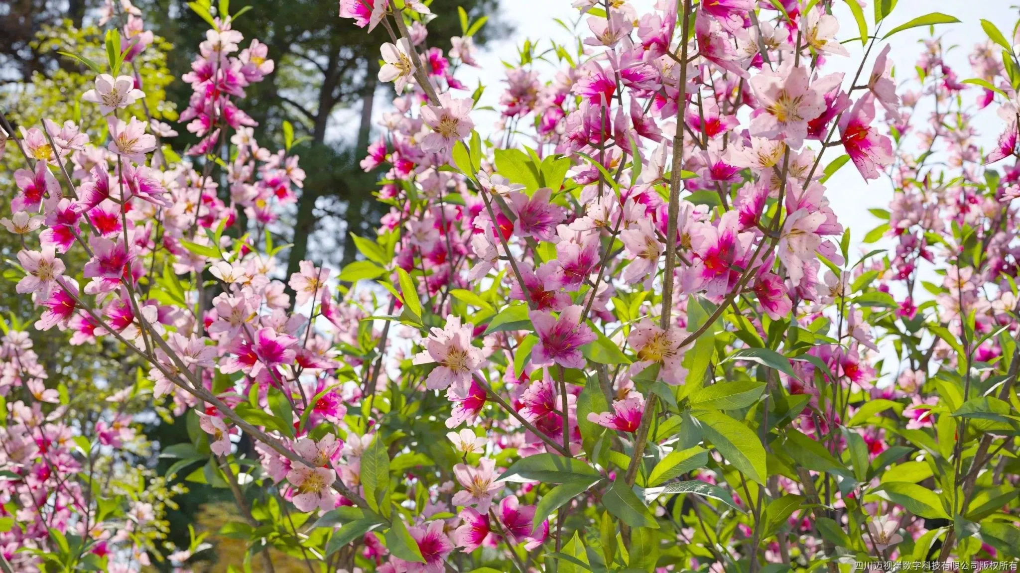 Maxtree - Plant Models Vol 134