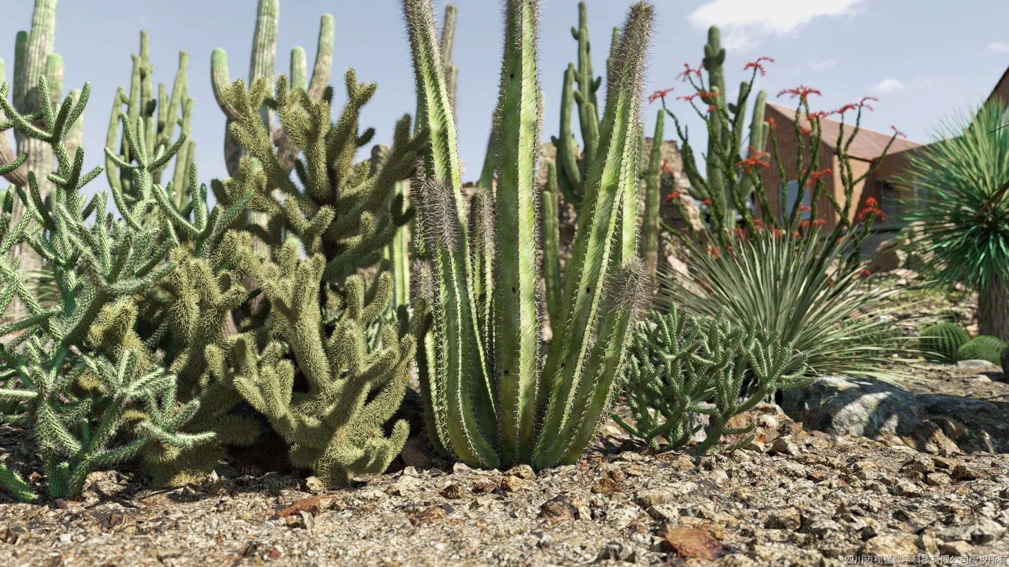 Maxtree - Plant Models Vol 138