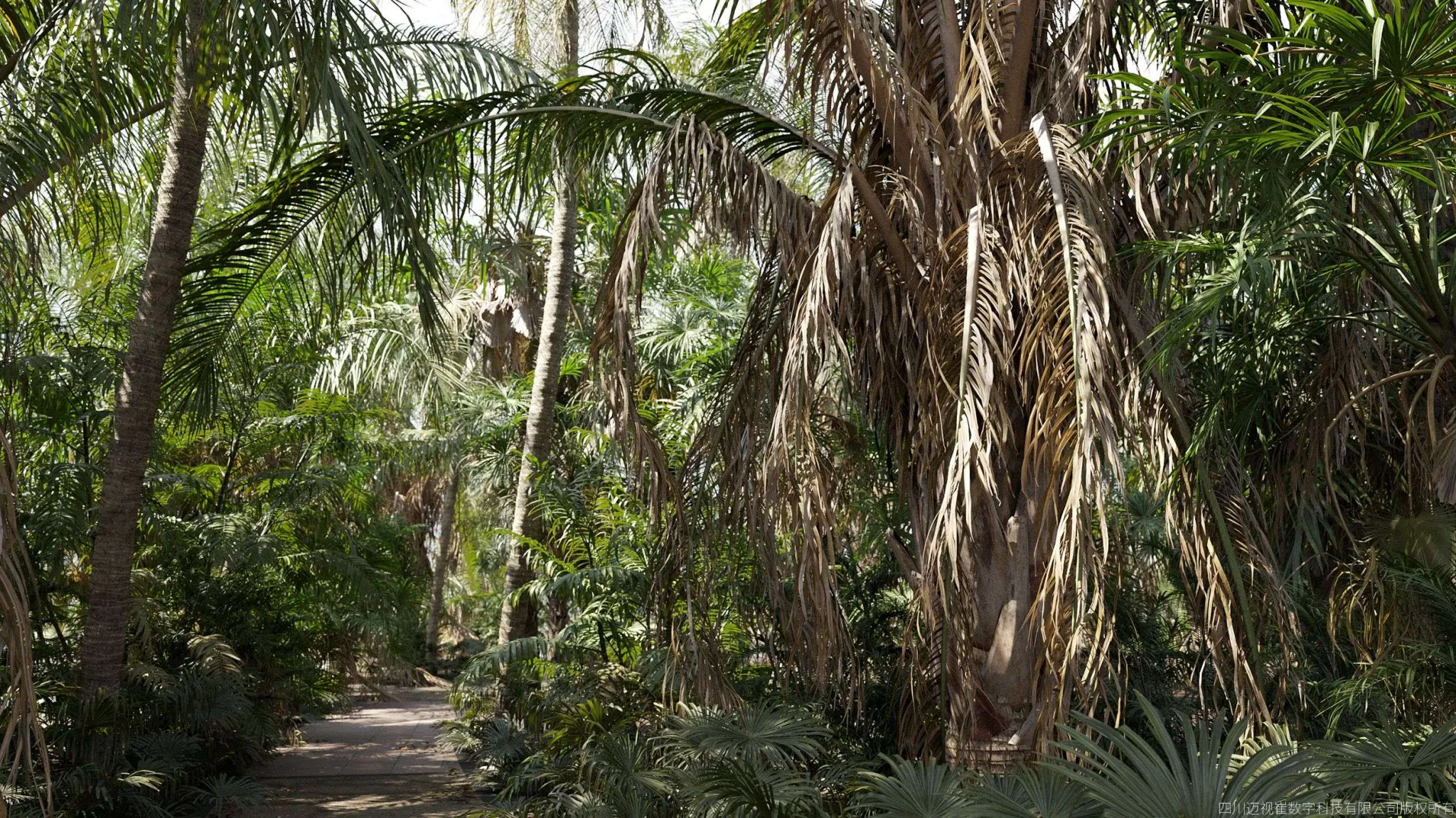 Maxtree - Plant Models Vol 148