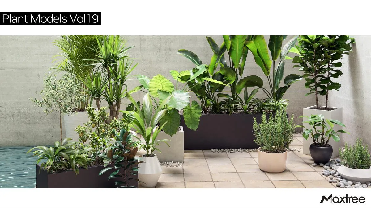 Maxtree Plant Models Vol.19