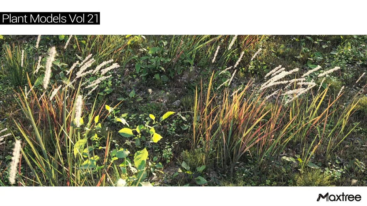 Maxtree Plant Models Vol.21