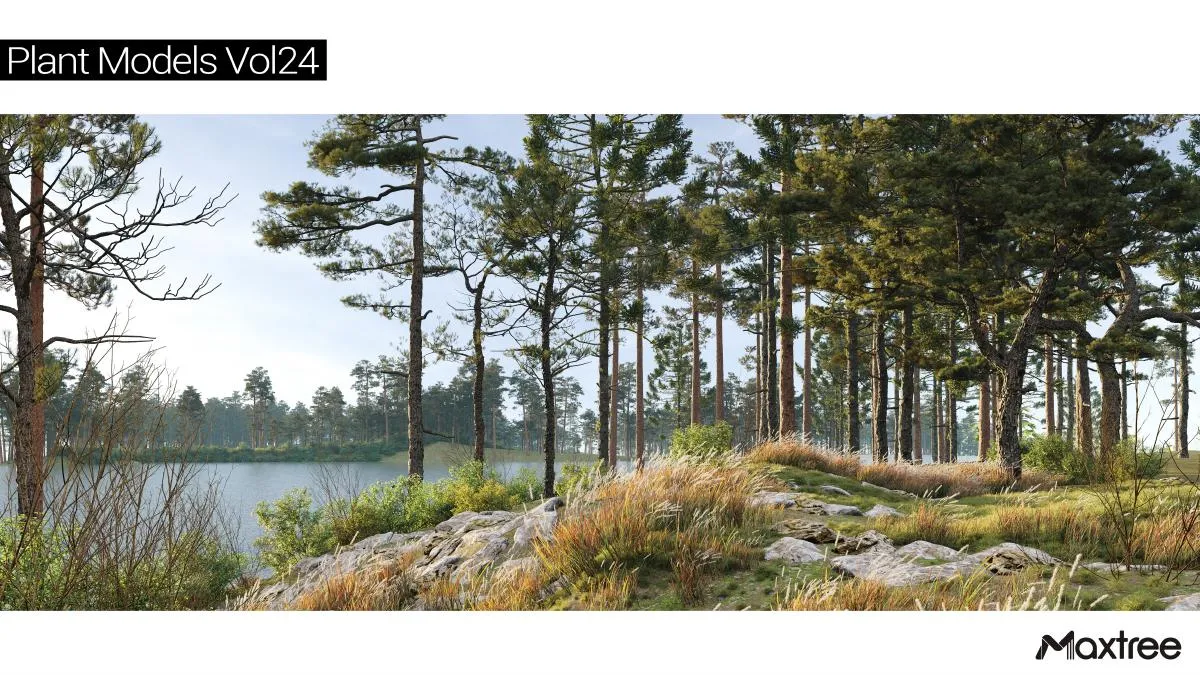 Maxtree Plant Models Vol.24