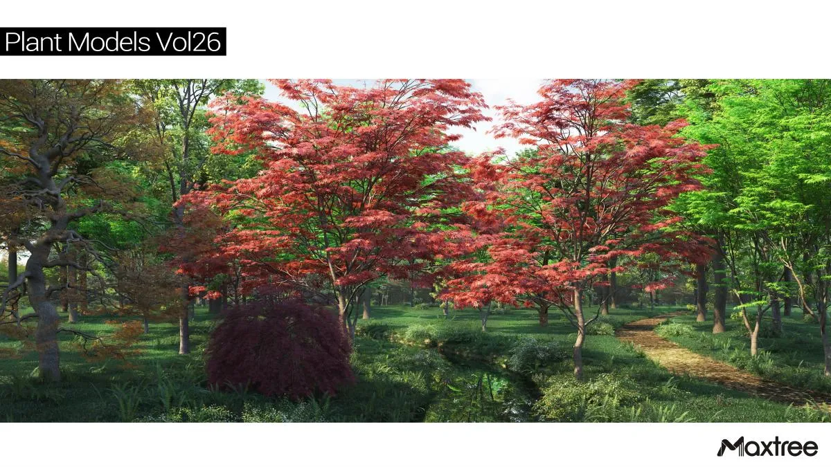 Maxtree Plant Models Vol.26