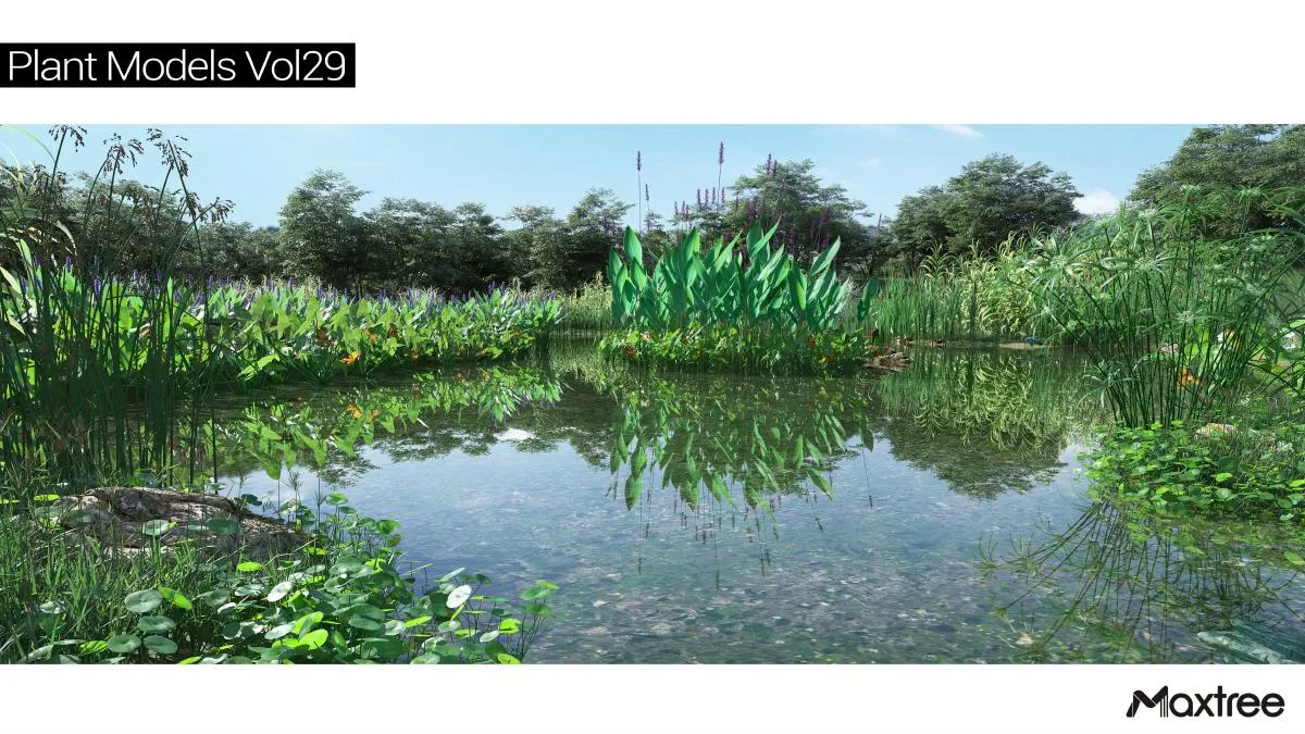 Maxtree Plant Models Vol.29