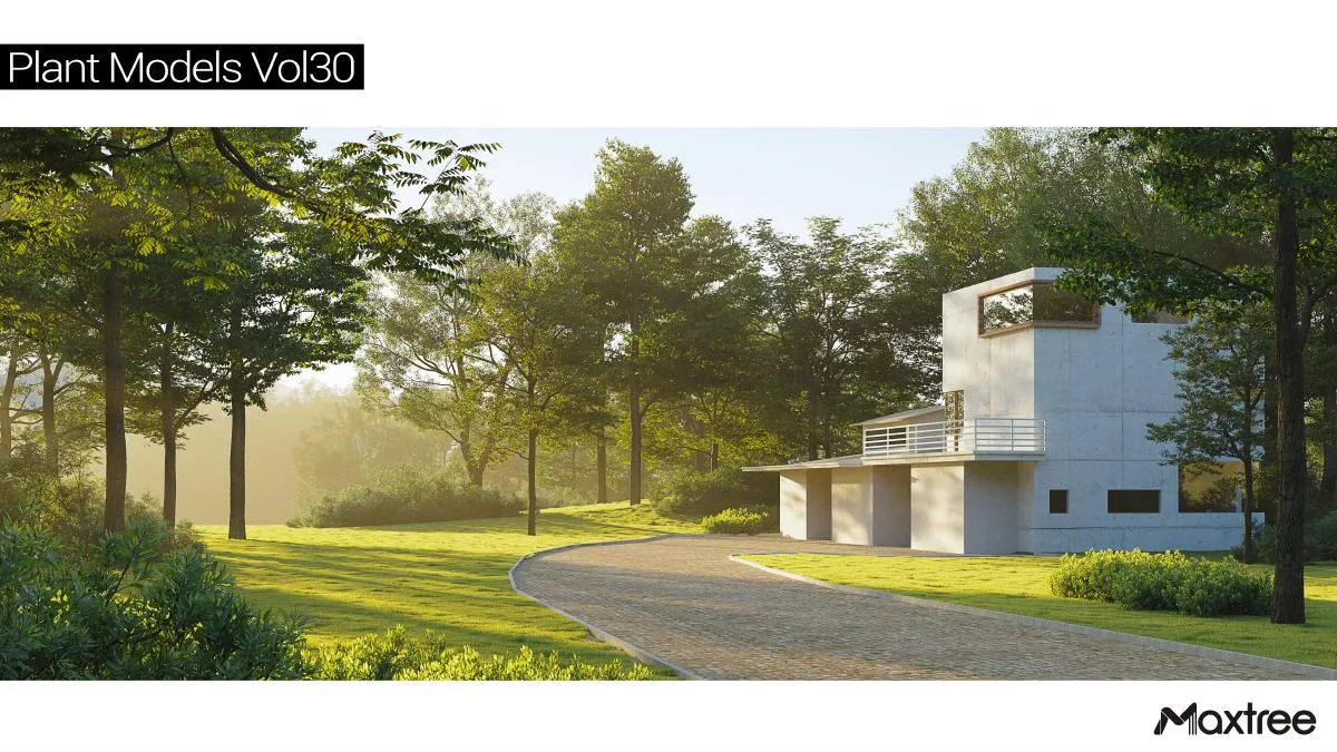 Maxtree Plant Models Vol.30