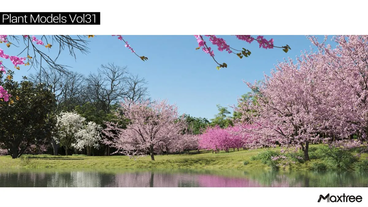 Maxtree Plant Models Vol.31