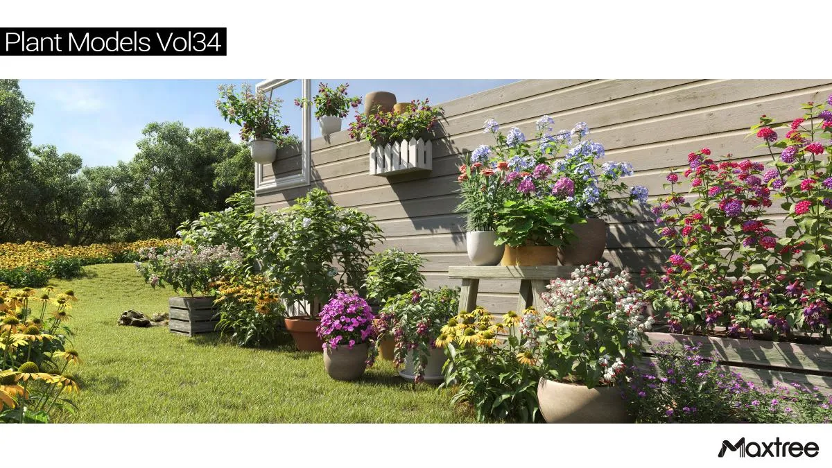 Maxtree Plant Models Vol.34