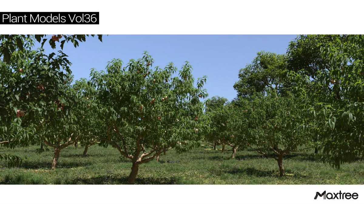Maxtree Plant Models Vol.36