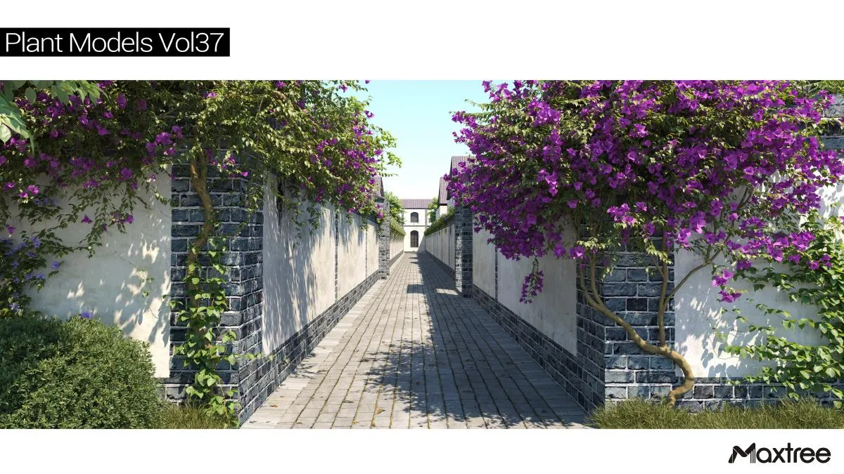 Maxtree Plant Models Vol.37