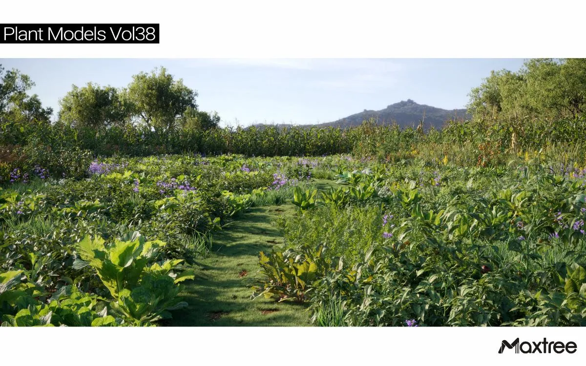Maxtree Plant Models Vol.38