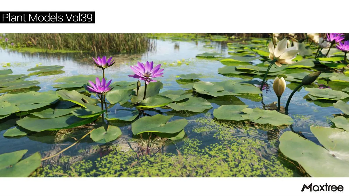 Maxtree Plant Models Vol.39