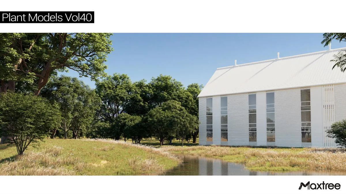 Maxtree Plant Models Vol.40