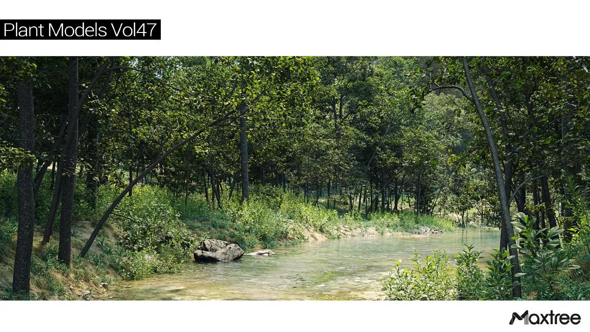 Maxtree Plant Models Vol.47