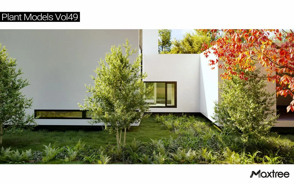 Maxtree Plant Models Vol.49