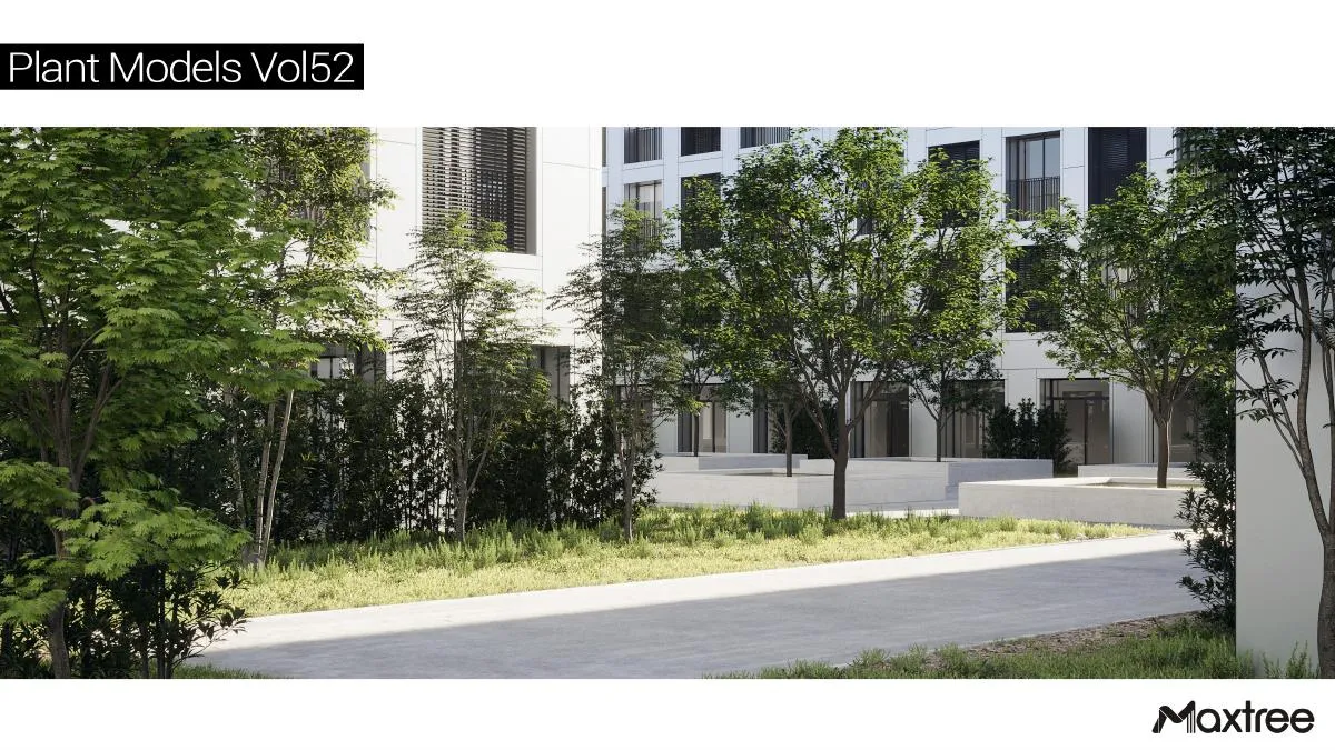 Maxtree Plant Models Vol.52