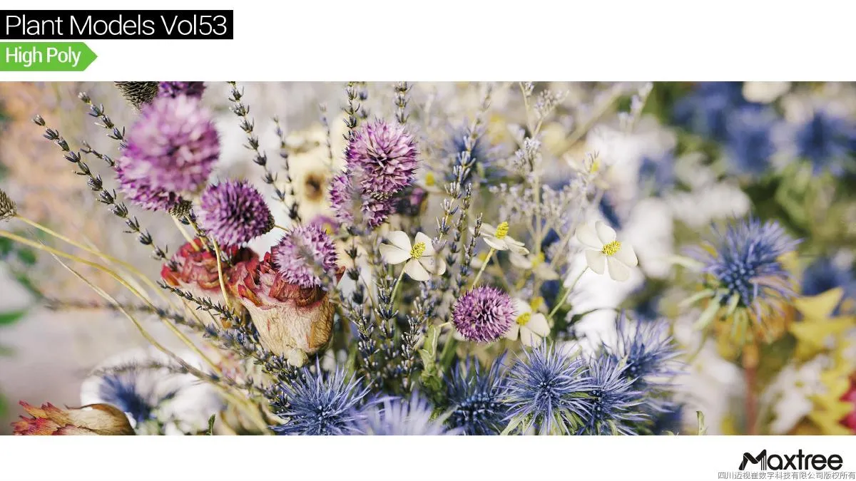 Maxtree Plant Models Vol.53