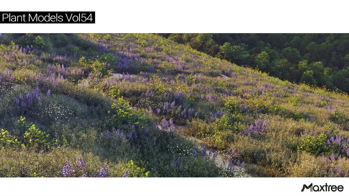 Maxtree Plant Models Vol.54