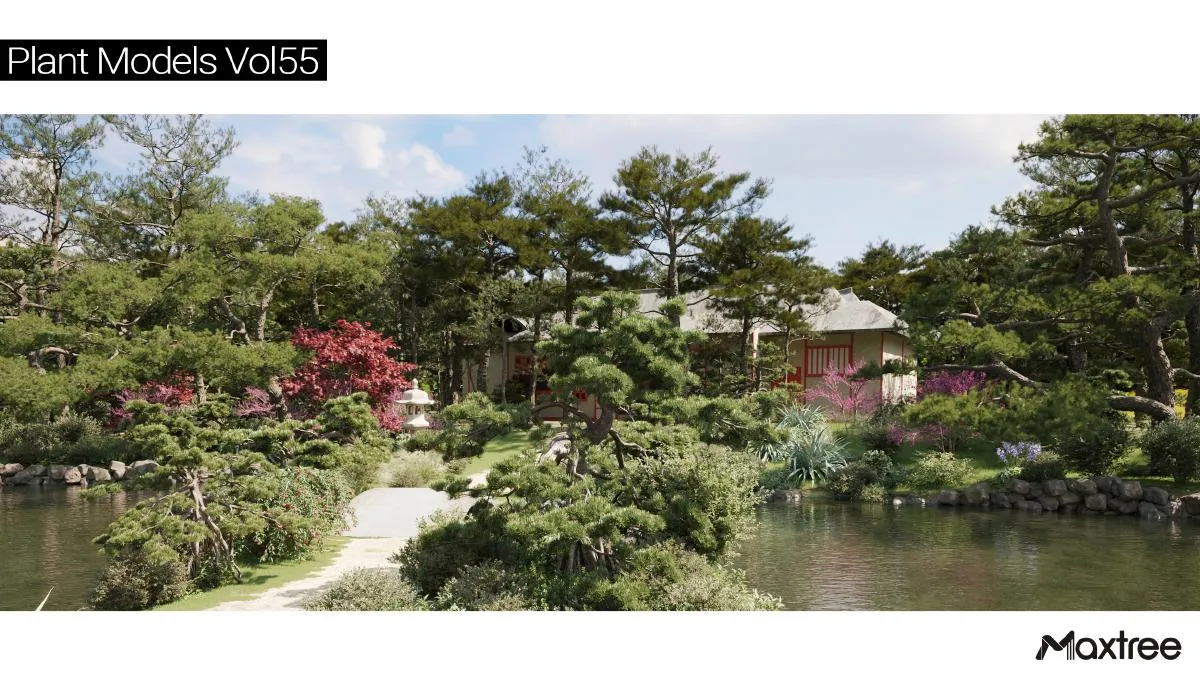 Maxtree Plant Models Vol.55