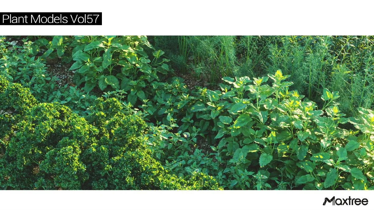 Maxtree Plant Models Vol.57