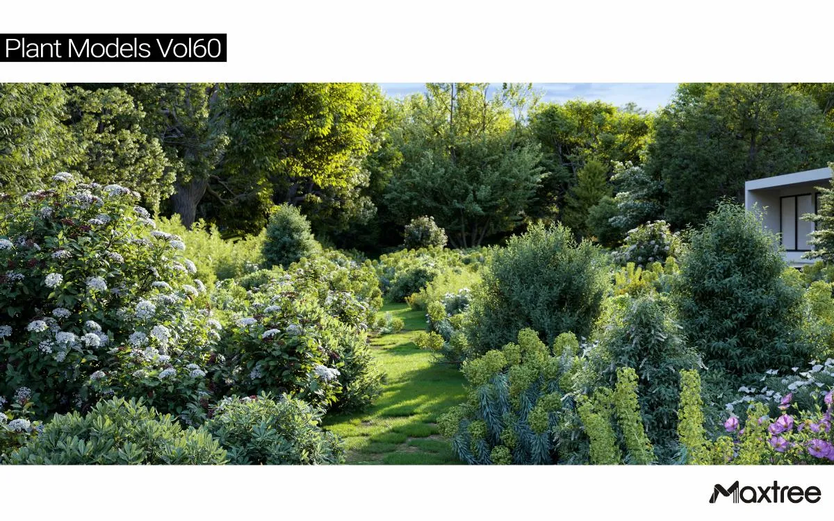 Maxtree Plant Models Vol.60