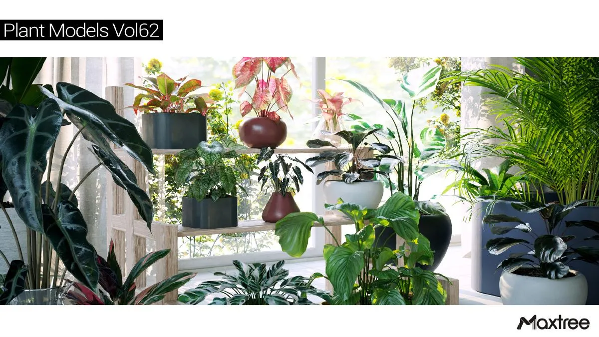 Maxtree Plant Models Vol.62