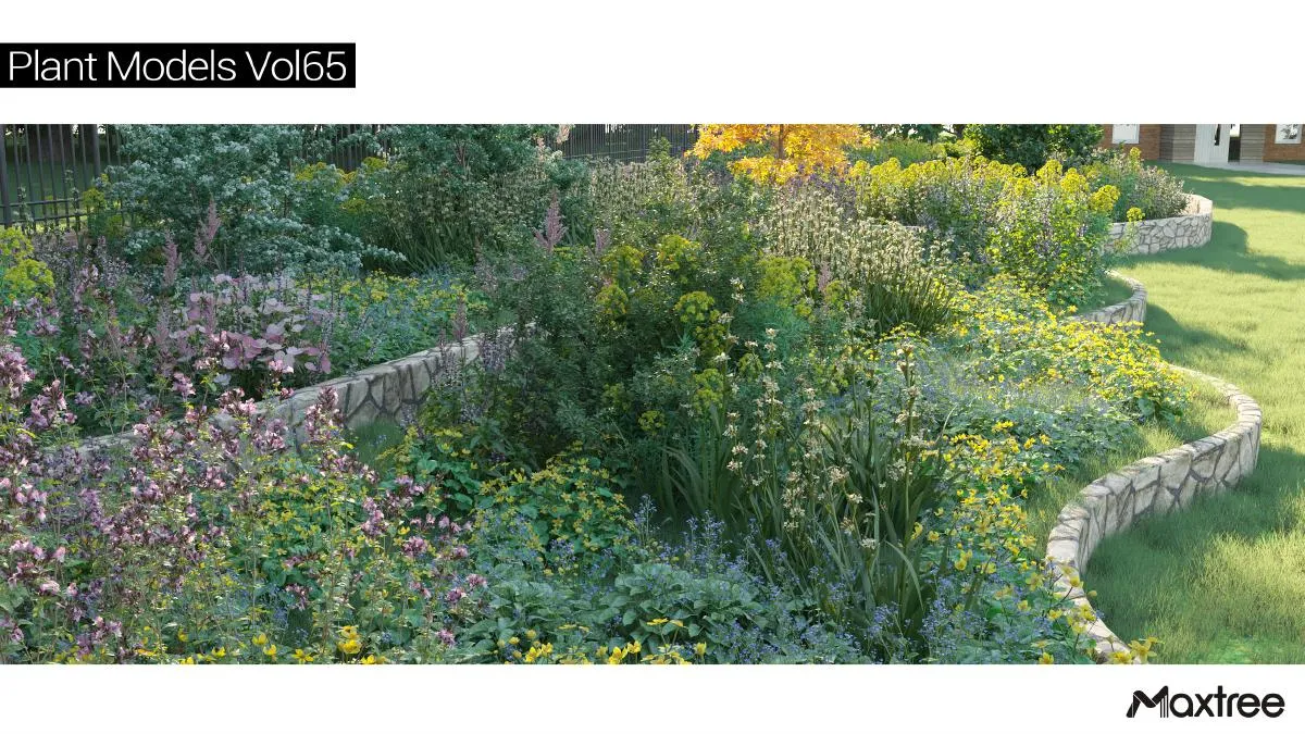 Maxtree Plant Models Vol.65
