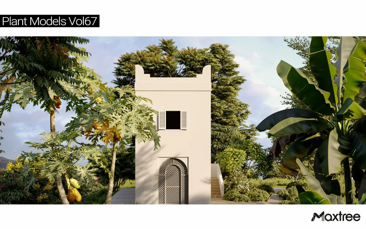 Maxtree Plant Models Vol.67