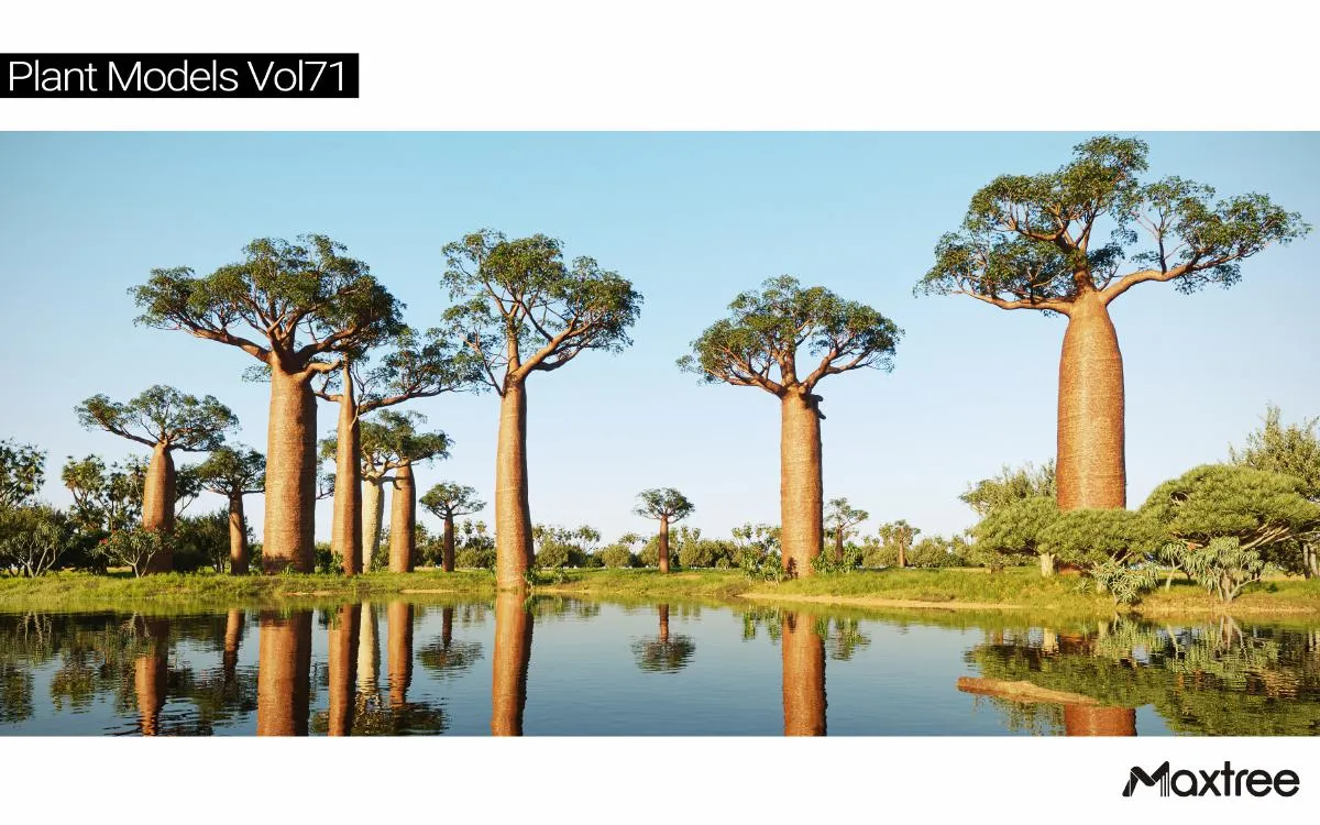 Maxtree Plant Models Vol.71