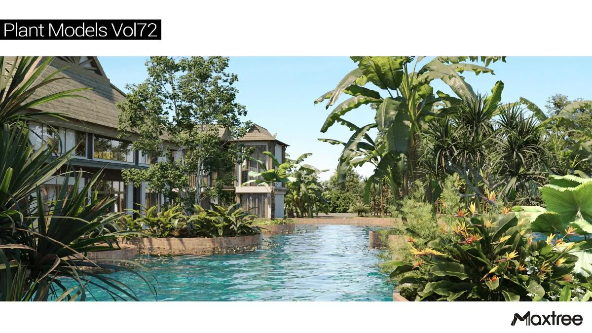 Maxtree Plant Models Vol.72