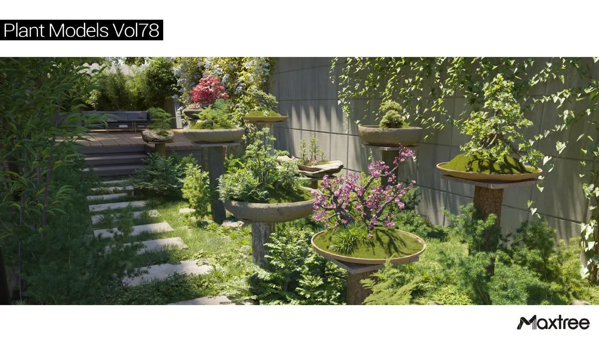 Maxtree Plant Models Vol.78