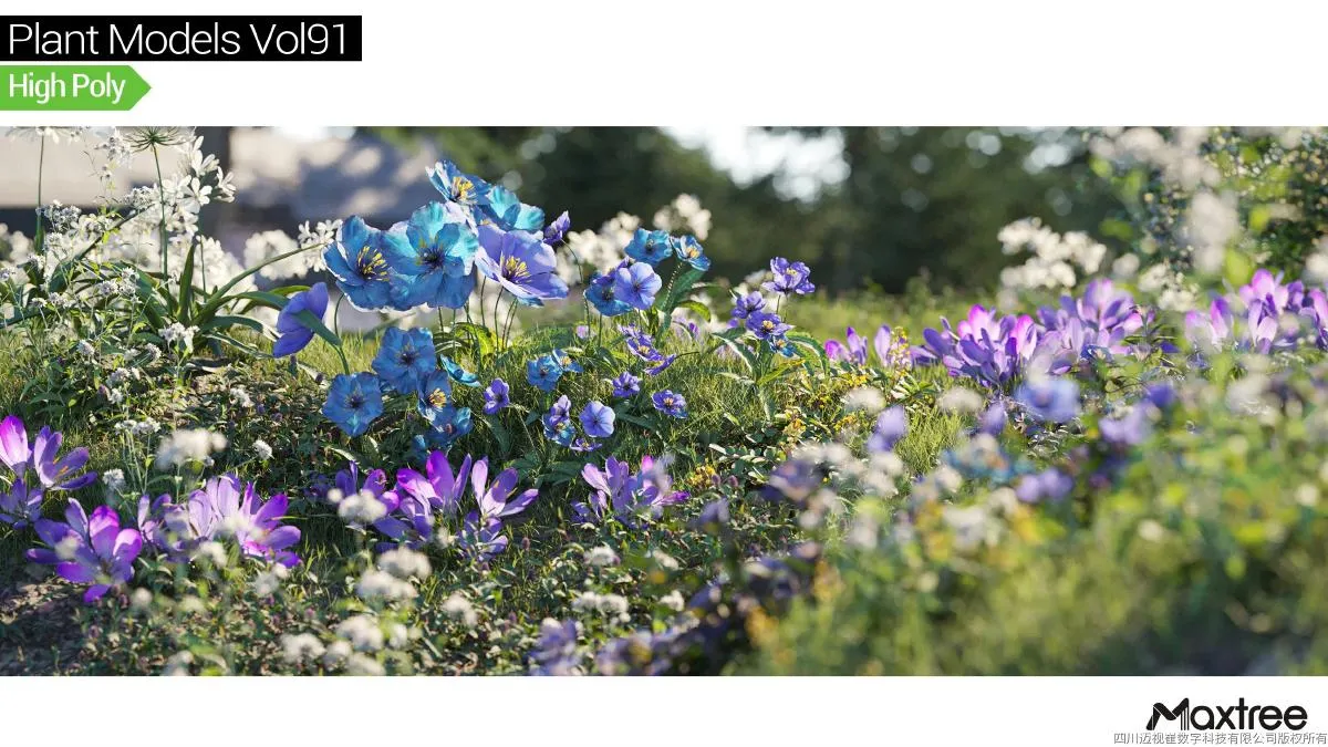 Maxtree Plant Models Vol.91