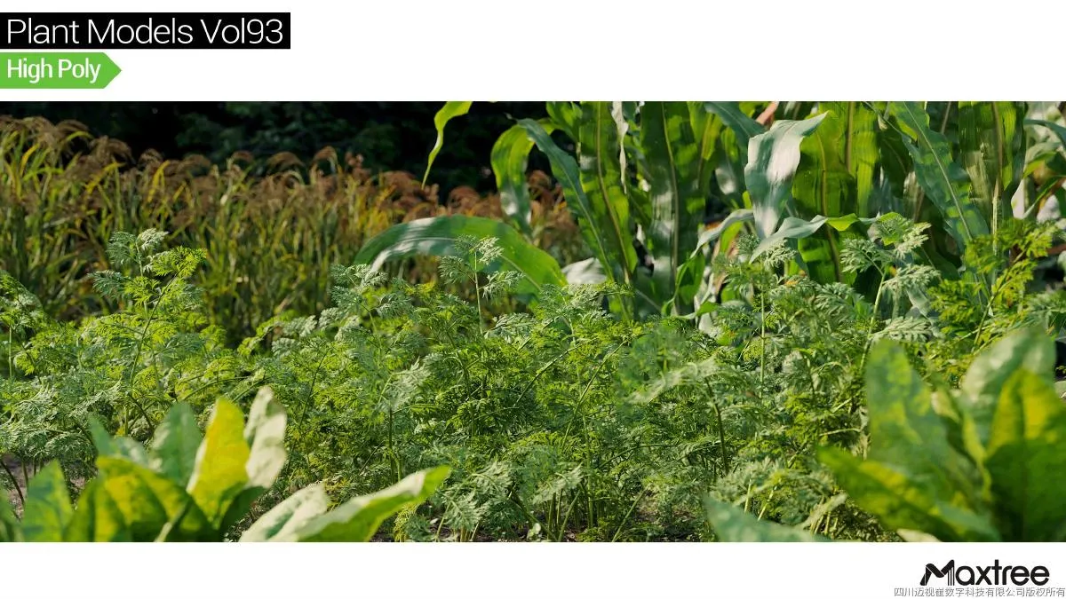 Maxtree Plant Models Vol.93