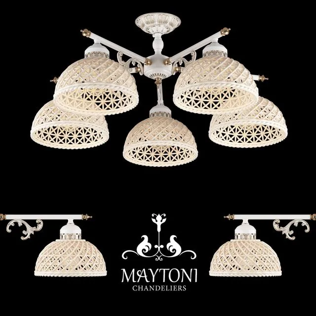 Maytoni ARM030-05-G 3D Model