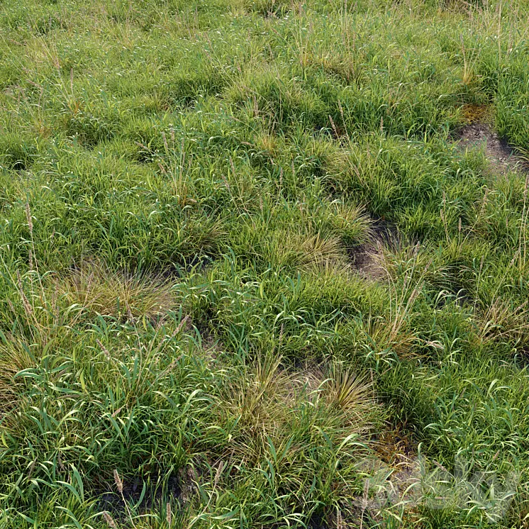 Meadow 09 3D Model
