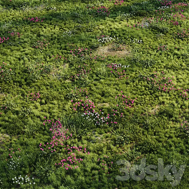 Meadow grass 3D Model