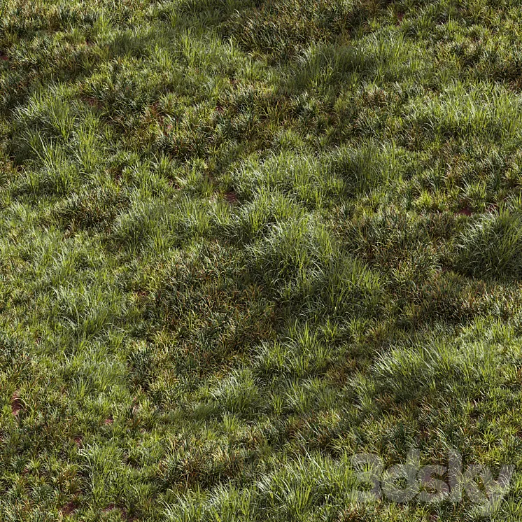 Meadow Lawn Grassland Set 002 3D Model Free