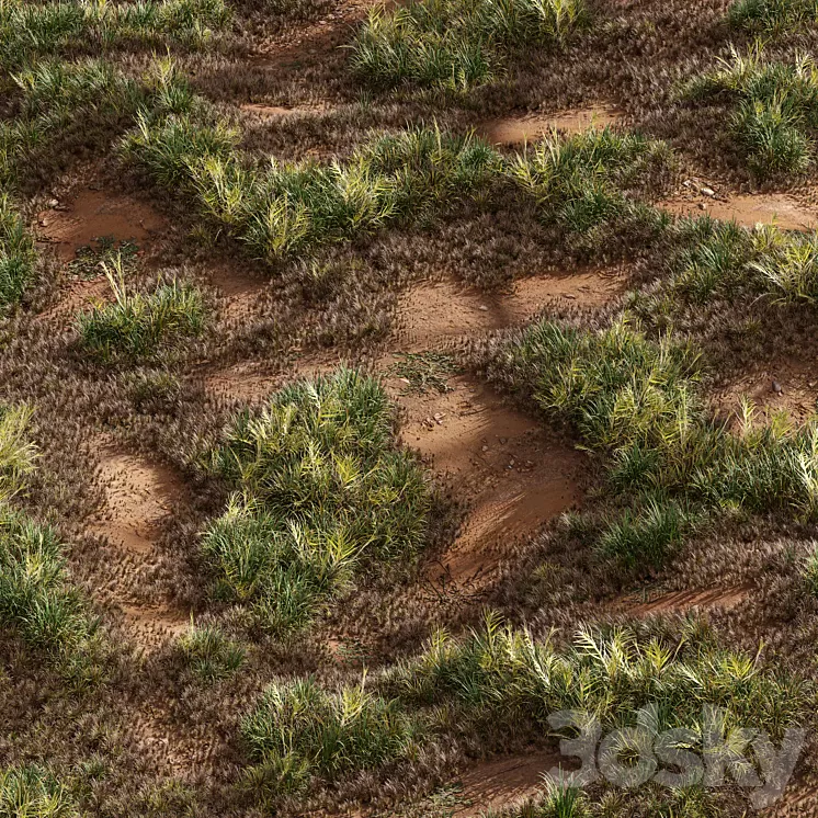 Meadow Lawn Grassland Set 003 3D Model Free