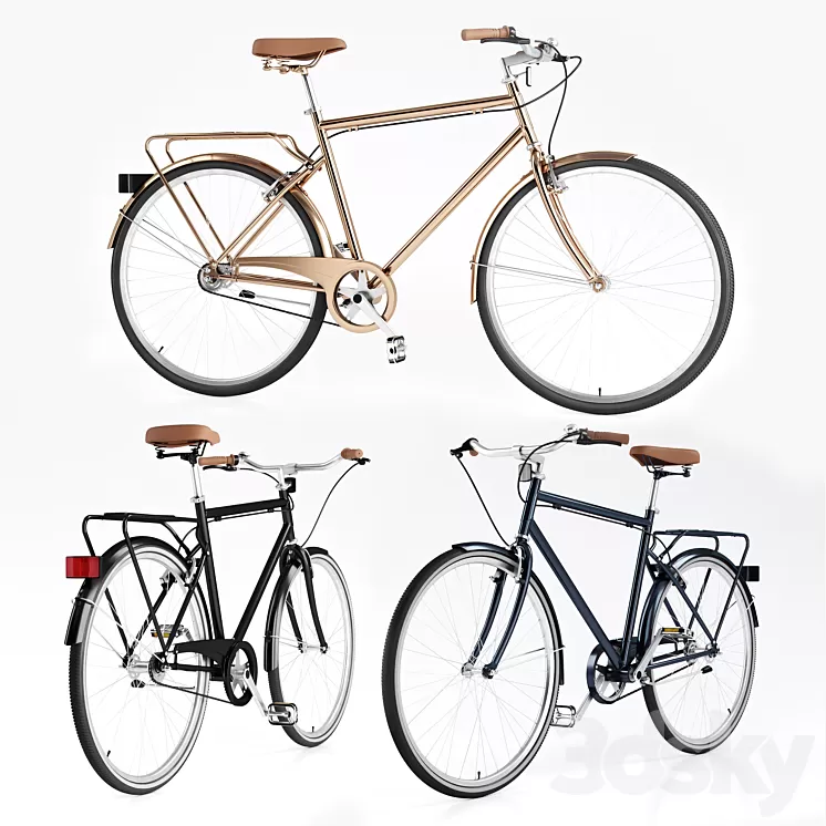 Men's  Vintage Bike / Bike Vintage Roadster 3D Model