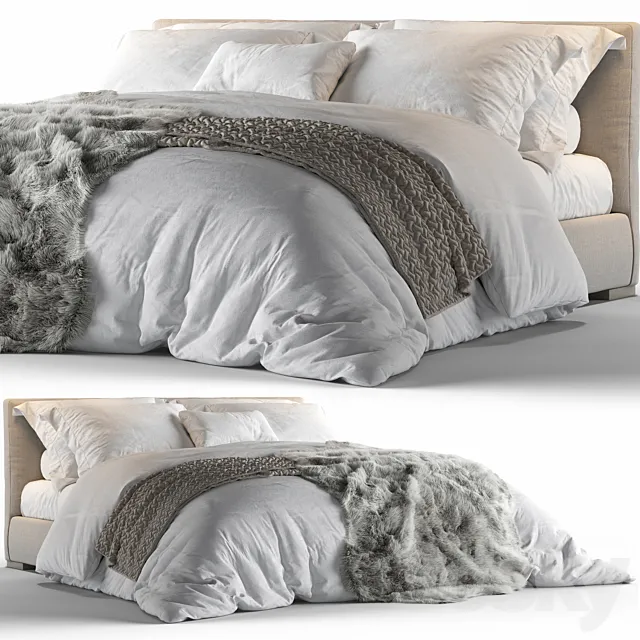 Meridiani stone 3DModel