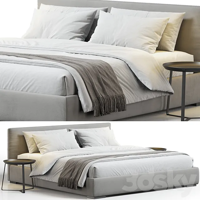 Meridiani Stone Bed 3D Model