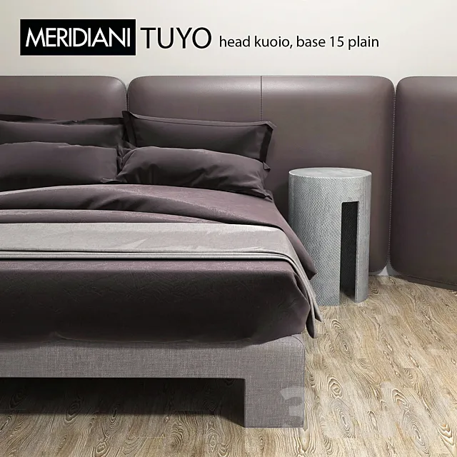MERIDIANI TUYO head kuoio 3DModel